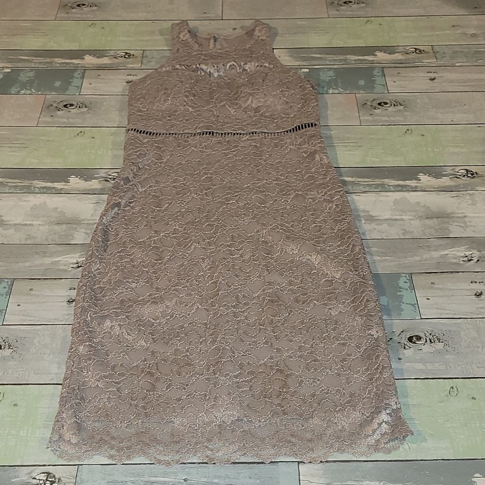 Sequin Hearts Lace Dress size 3